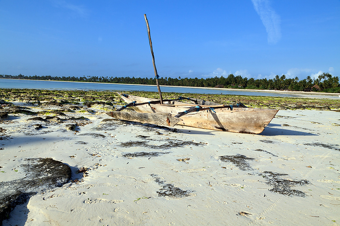 Boat on the beach of Zanzibar Boat on the beach of Zanzibar, by Zoonar Andreas Edelm