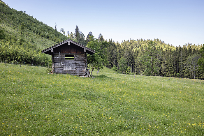 Agricultural wooden shed on spring meadow in the foothills of the Alps, Bavaria Agricultural wooden shed on spring meadow in the foothills of the Alps, Bavaria, by Zoonar Harald Biebel