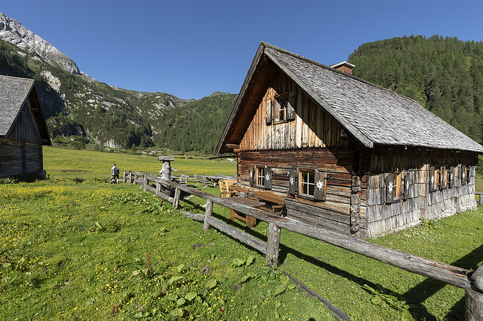 Old alpine hut in Styria, Austria, Europe Old alpine hut in Styria, Austria, Europe, by Zoonar Harald Biebel