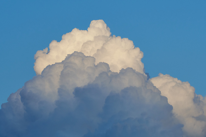 Cumulonimbus cloud Cumulonimbus cloud, by Zoonar KARIN JAEHNE