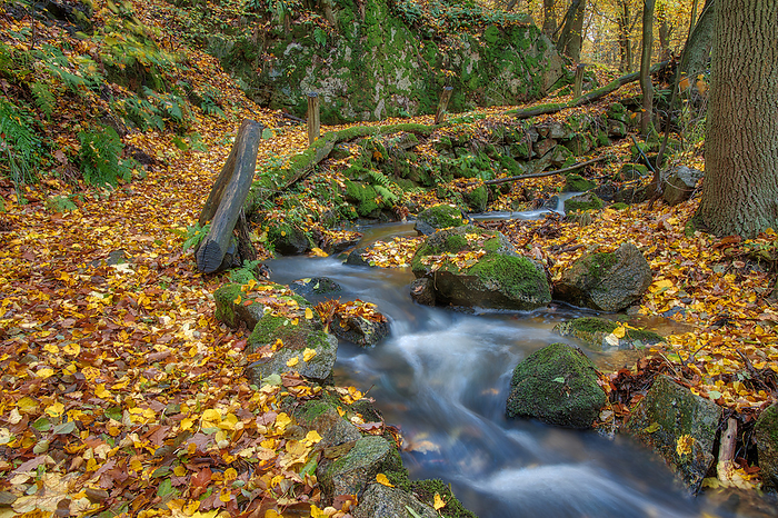Autumn impression from the Harz mountains small hiking trail with stream Autumn impression from the Harz mountains small hiking trail with stream, by Zoonar dk fotowelt