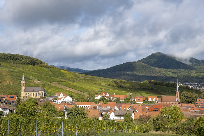 Wine village Birkweiler, Southern Palatinate Wine village Birkweiler, Southern Palatinate, by Zoonar Anna Reinert