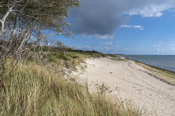 Beach near Hedehusum, Utersum, North Sea island F hr Beach near Hedehusum, Utersum, North Sea island F hr, by Zoonar Anna Reinert
