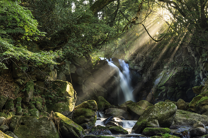Kumamoto Prefecture A couple of waterfalls with light shining on them