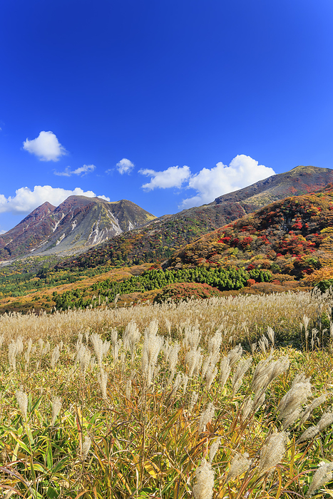 Mt. Mimata and silver grass viewed from Makinotoge Pass, Oita Prefecture