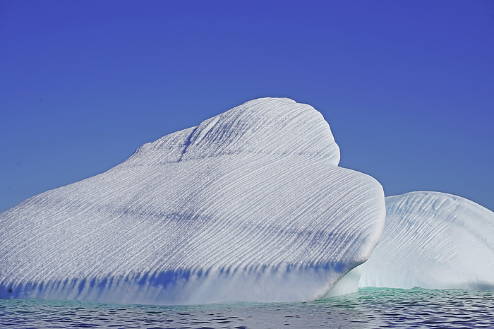 NA Melting iceberg under a bright blue sky, by Bill Banaszewski   Design Pics