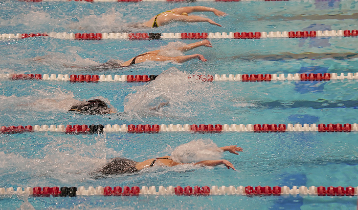 NA Swimmers do the butterfly stroke, by Bill Banaszewski   Design Pics