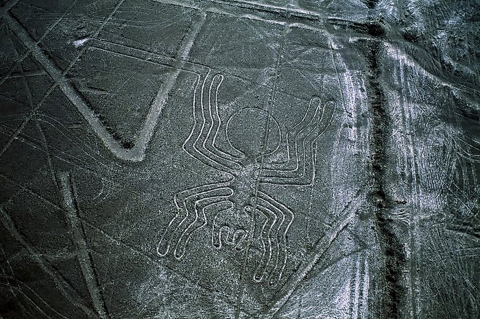 NA Mysterious Nazca lines form a spider, one of many animal and geometric shapes best seen in the air in Peru s southern desert.  Anthropologists believe the Nazca culture that created them began around 100 B.C. and flourished from A.D. 1 to 700. They were made with light colored sand when the top foot of rock was removed by an ancient culture  Nazca, Peru, by Melissa Farlow   Design Pics
