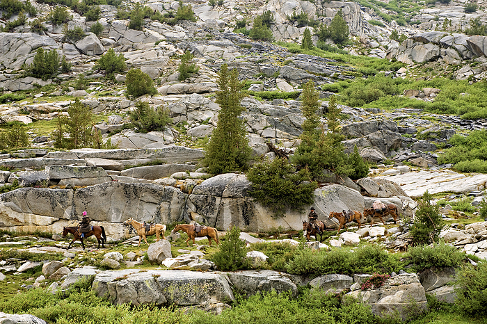 JOSAR_berry_john, JOSAR_anthony_mindy Horses are led through the mountains at King s Canyon National Park  California, United States of America, by Joel Sartore Photography   Design Pics