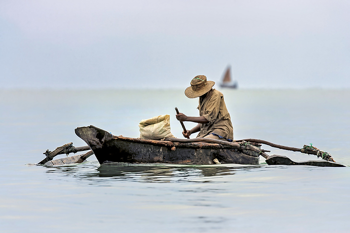 NA Artisanal fishermen off the coast of Tanga paddles his catch to sell to a seafood exporter in Tanzania  Tanga, Tanzania, by Randy Olson   Design Pics