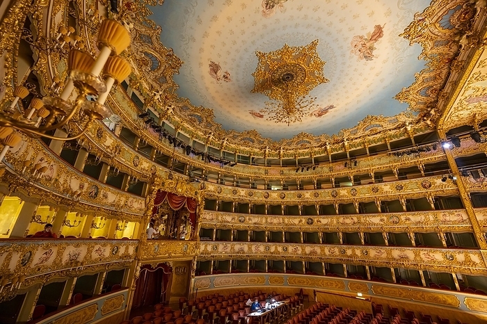 Teatro La Fenice, Venice Auditorium with gilded gallery, La Fenice Opera House, Venice, Veneto, Italy, Europe