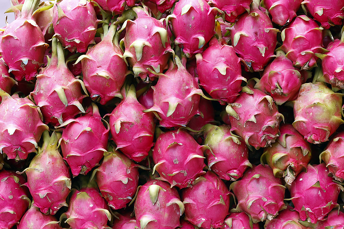 Dragon fruit for sale at local market. Dragon fruit for sale at local market, Ho Chi Minh City, Vietnam, Indochina, Southeast Asia, Asia, by Godong