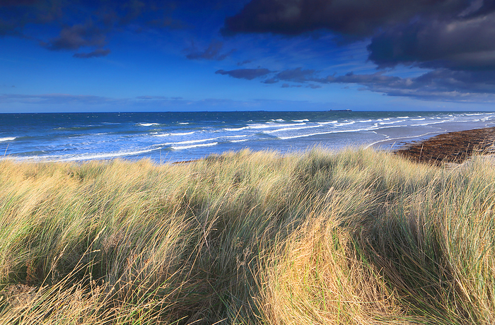 Looking towards the Farne Islands from Bamburgh, Northumberland, England, UK Looking towards the Farne Islands from Bamburgh, Northumberland, England, United Kingdom, Europe, by Geraint Tellem