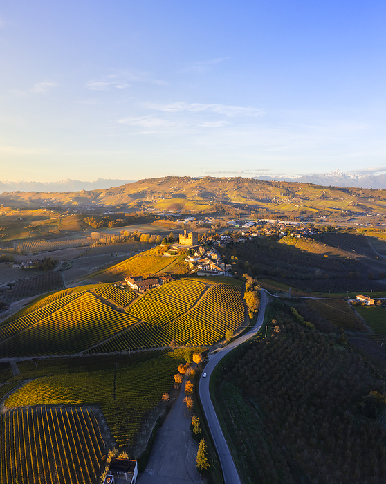 Aerial view of Grinzane Cavour at sunrise during autumn, Cuneo, Langhe and Roero, Piedmont, Italy, Southern Europe Aerial view of Grinzane Cavour at sunrise during autumn, Cuneo, Langhe and Roero, Piedmont, Italy, Europe, by carlo alberto conti