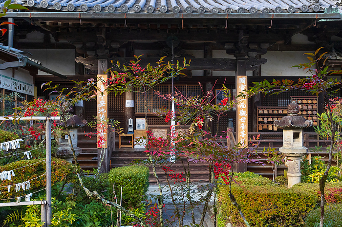 The main hall of Seirinji Temple in autumn, Nara Prefecture