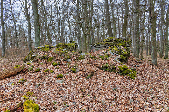 Ruin of the wolf watch in the Selke valley Ruin of the wolf watch in the Selke valley, by Zoonar dk fotowelt