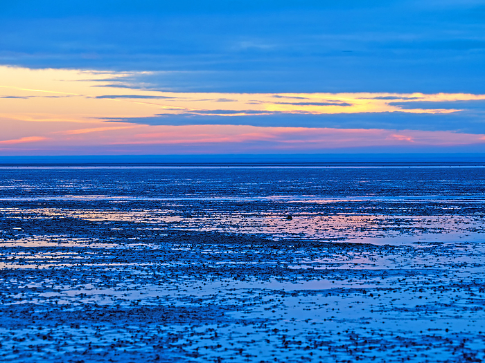 Blue hour in the Lower Saxony Wadden Sea off Cuxhaven Sahlenburg at low tide, Germany Blue hour in the Lower Saxony Wadden Sea off Cuxhaven Sahlenburg at low tide, Germany, by Zoonar Katrin May