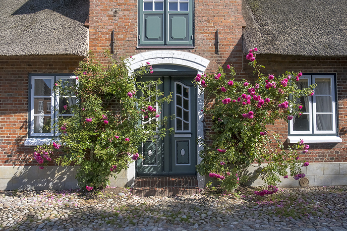 House entrance with roses House entrance with roses, by Zoonar Anna Reinert