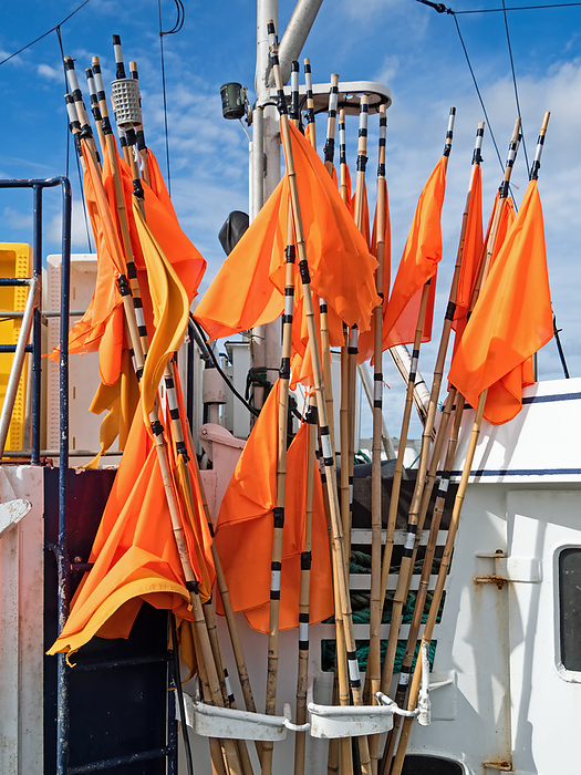 Orange flags marking fishing nets on board a fishing boat in the harbor of Hanstholm, Denmark Orange flags marking fishing nets on board a fishing boat in the harbor of Hanstholm, Denmark, by Zoonar Katrin May