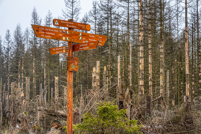 Signposting of the hiking trails in the Harz national Park Signposting of the hiking trails in the Harz national Park, by Zoonar dk fotowelt