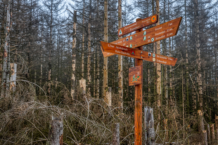 Signposting of the hiking trails in the Harz national Park Signposting of the hiking trails in the Harz national Park, by Zoonar dk fotowelt
