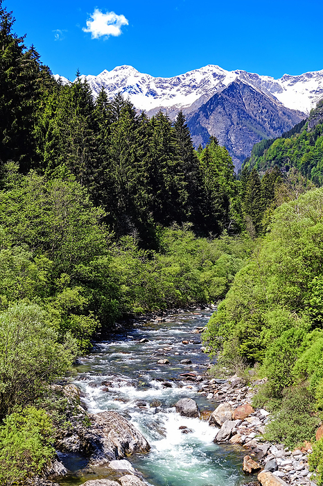 View of the river Passer flowing picturesquely through the Passeier Valley in the South Tyrolean Alp View of the river Passer flowing picturesquely through the Passeier Valley in the South Tyrolean Alp, by Zoonar Katrin May
