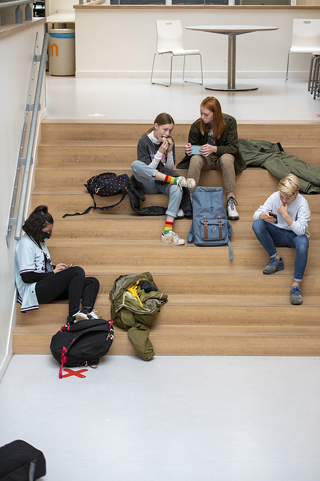 Voortgezet onderwijs Group of young teenage students sitting on the school stairs relaxing and studying while on their phones