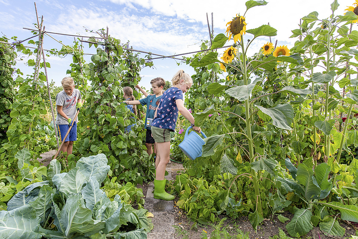 Kinderen op schooltuin Sisters helping their mother at thir allotment. Watering fresh vegetables in the garden allotment at summer. Growth, vitality