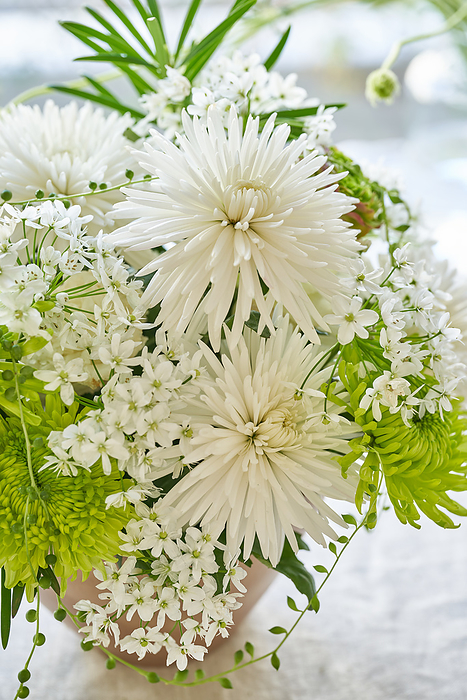 White and green arrangement