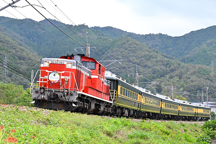 Salon Car Naniwa with DD51 traction  Hyogo Terroir Journey  rounding a curve on the Sanin Main Line, Hyogo Prefecture Taken at Yabu station   Yoka station