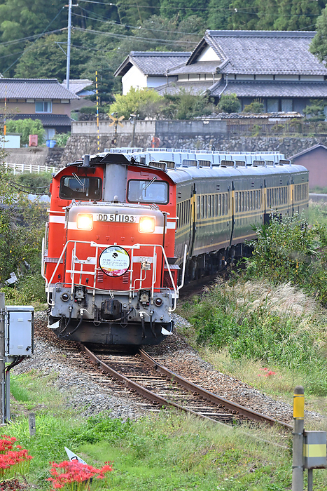 Salon Car Naniwa  Hyogo Terroir Journey  with DD51 traction on the Bantan Line, Hyogo Prefecture, rounding a curve Taken at Hase Station   Teramae Station