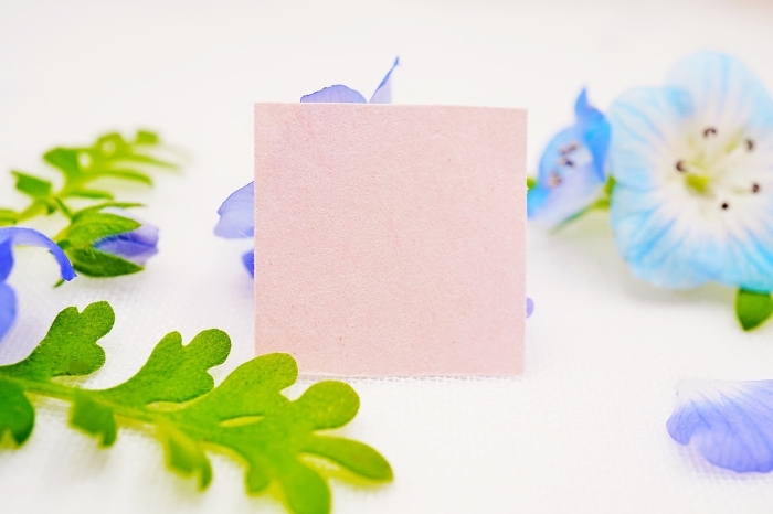 Mockup of a pretty pink title card with a white background decorated with beautiful blue nemophila flowers and leaves