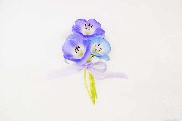 Mini bouquet of nemophila bunched with light purple ribbon on white background