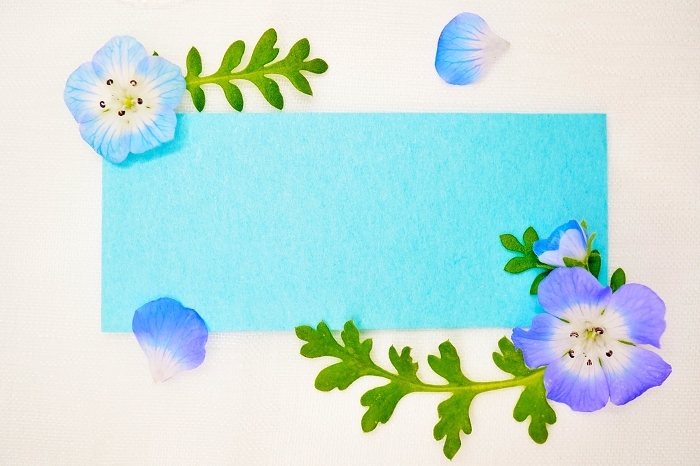 Spring image title frame mockup with blue lapis lazuli arabesque flowers and leaves on white lace background