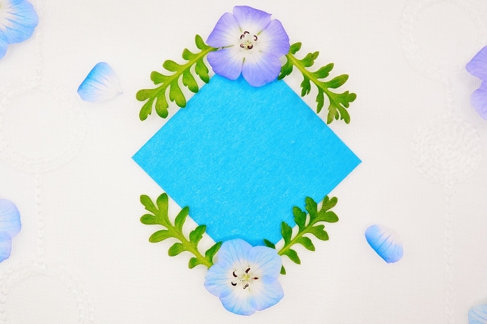 Mockup of diamond-shaped comment frame with beautiful blue nemophila flowers and leaves on white lace background