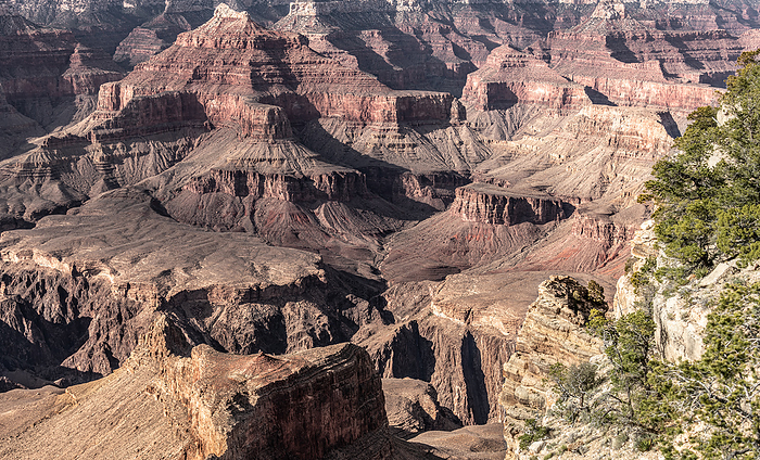 Grand Canyon  Arizona, USA  Grand Canyon  Arizona, USA , by Zoonar Christoph Sch