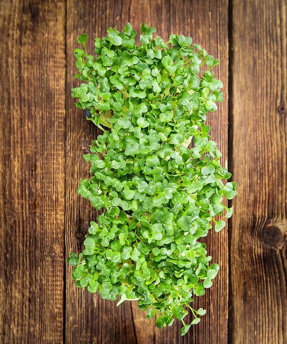 Fresh Cress on wooden background  selective focus  Fresh Cress on wooden background  selective focus , by Zoonar Christoph Sch