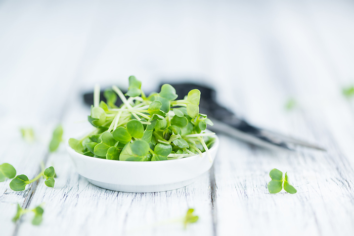 Cutted Cress  selective focus  Cutted Cress  selective focus , by Zoonar Christoph Sch