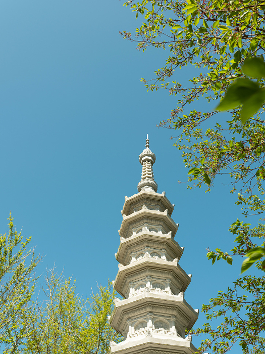 pagoda in the temple, trip to Korea