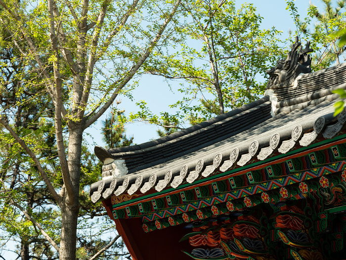 the roof of the temple, Korea