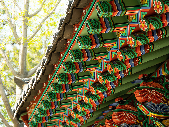 the roof of the temple, Korea