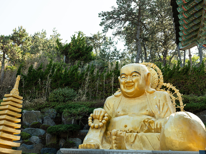 golden buddha statue, trip to Korea