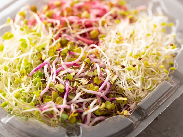 Sprouts Ingredients Image