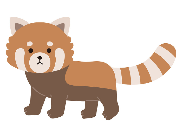 Vector illustration of a cute red panda. Icons, Animals