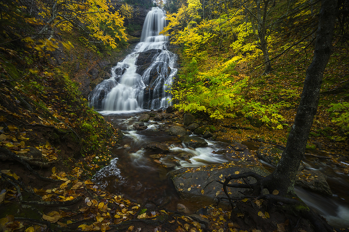 Fall Colors Surrounding Waterfall and Stream, by Cavan Images / Adam Woodworth