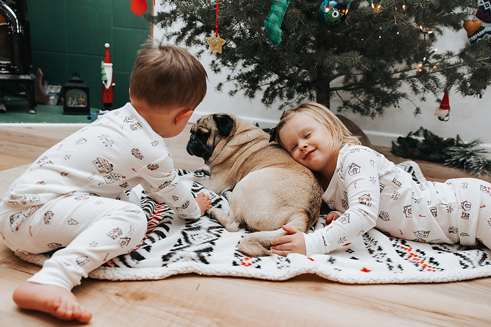 Siblings under tree, Christmas cuddles with pug, by Cavan Images / Mandi Swandal Photography