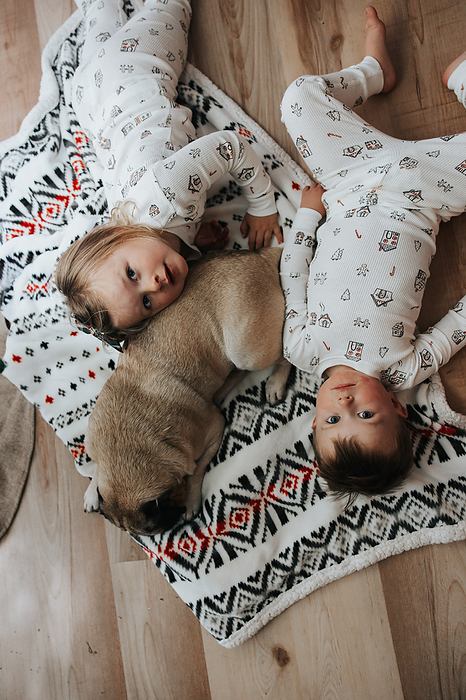 Siblings under tree, Christmas cuddles with pug, by Cavan Images / Mandi Swandal Photography