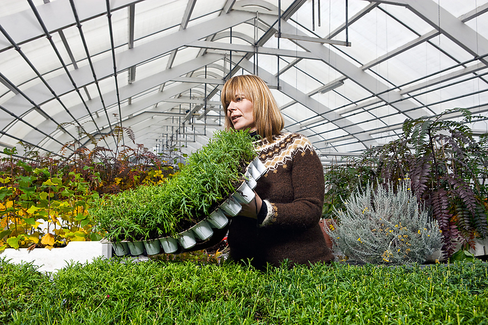 Woman working with seedlings in Greenhouse, by Cavan Images / dund photography