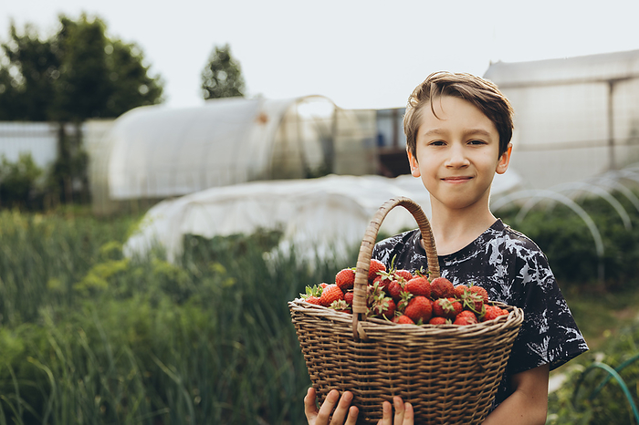 Boy keeps a wicker basket with strawberries in the garden, by Cavan Images / Natalia Akulova