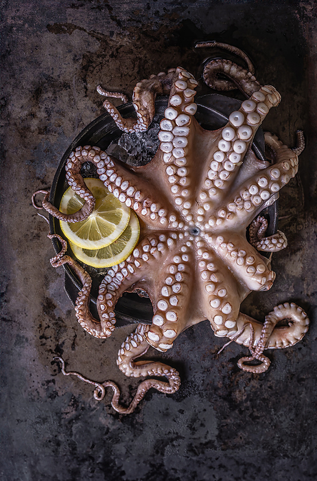 Whole Octopus and Lemon in a Black Bowl, by Cavan Images / Sara Ghedina